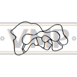 20459203-42443 - 20459203 - GASKET | VMP Spares