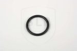 20405599 - OR-5599 O-RING