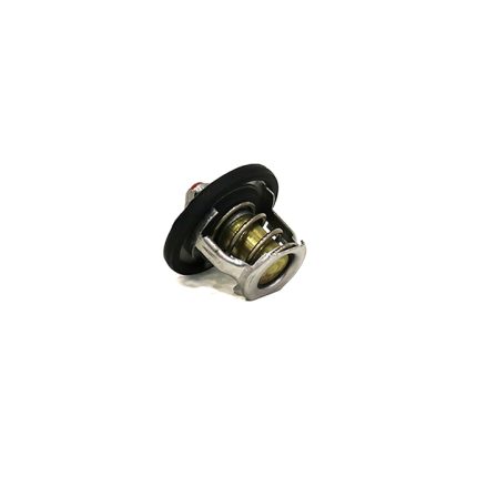 VMPG-96757 - VOE 15161656 - Thermostat | VMP Spares