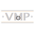 VMPG-114370 - VOE 13976109 - O-ring | VMP Spares