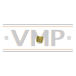 VMPG-232165 - VOE 11039450 - Lens | VMP Spares