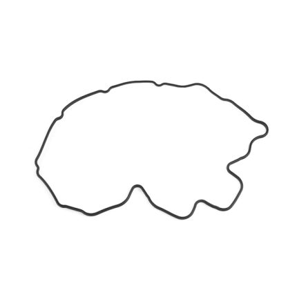 VMPG-288733 - VOE 17248668 - Gasket | VMP Spares