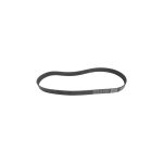 VMPG-2389 - 10PK1350 V-Belt | VMP Spares