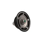 VMPG-149835 - 7421613426 Thermostat | VMP Spares