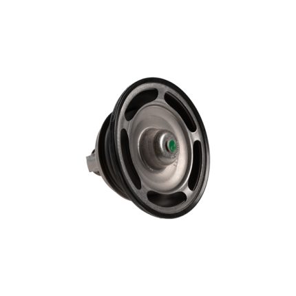 VMPG-149835 - 7421613426 Thermostat | VMP Spares