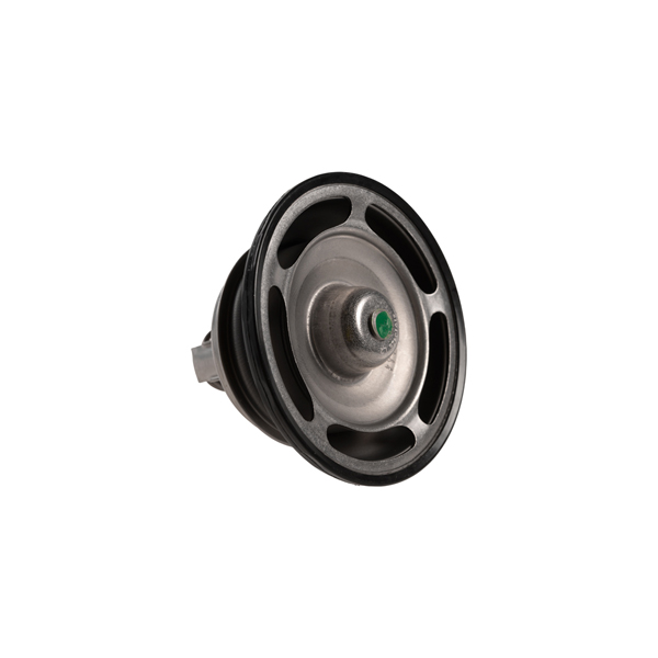 VMPG-149835 - 7421613426 Thermostat | VMP Spares