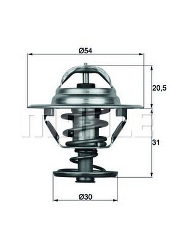 VMPG-2382 - 1145.81 Thermostat BEHR TERM | VMP Spares