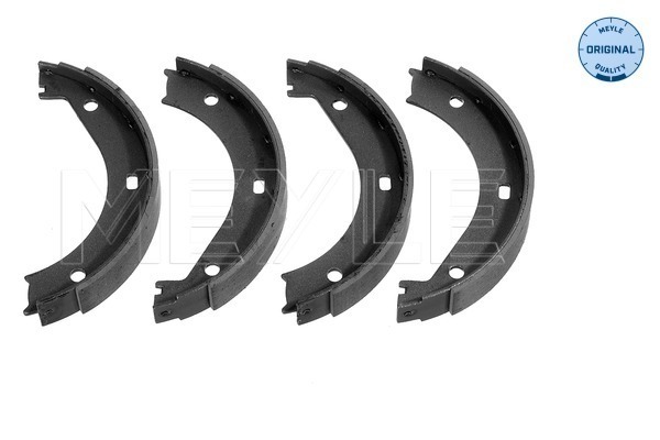 VMPG-16133 - 3141159401 Brake Shoe Set,Parking | VMP Spares