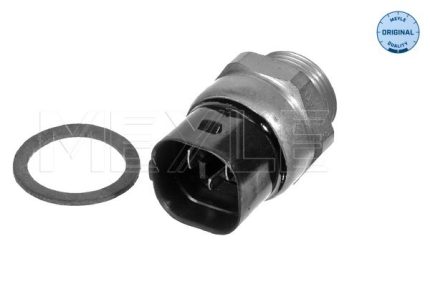 VMPG-64017 - 1009590018 Switch,Radiator Fan | VMP Spares