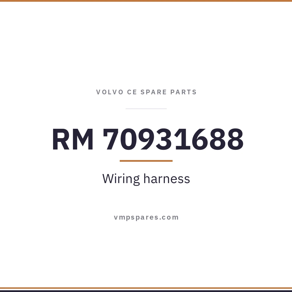 RM 70931688 – Wiring harness