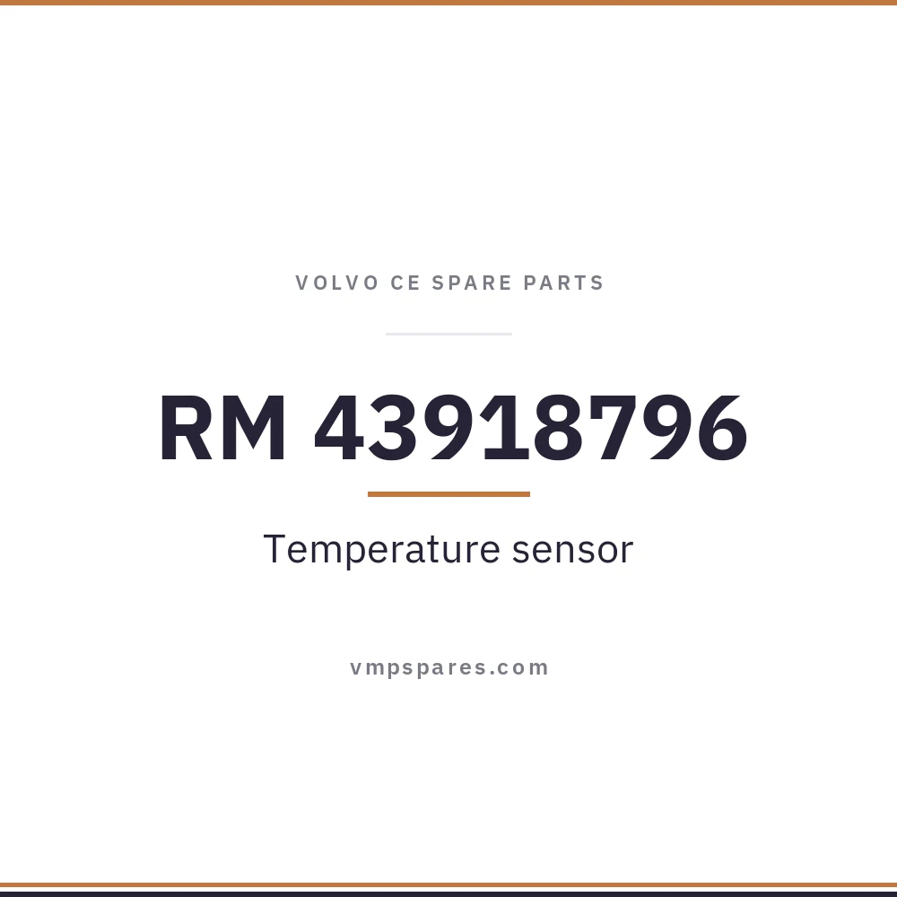 RM 43918796 – Temperature sensor