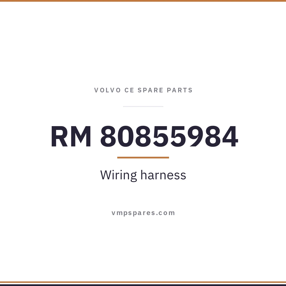 RM 80855984 – Wiring harness