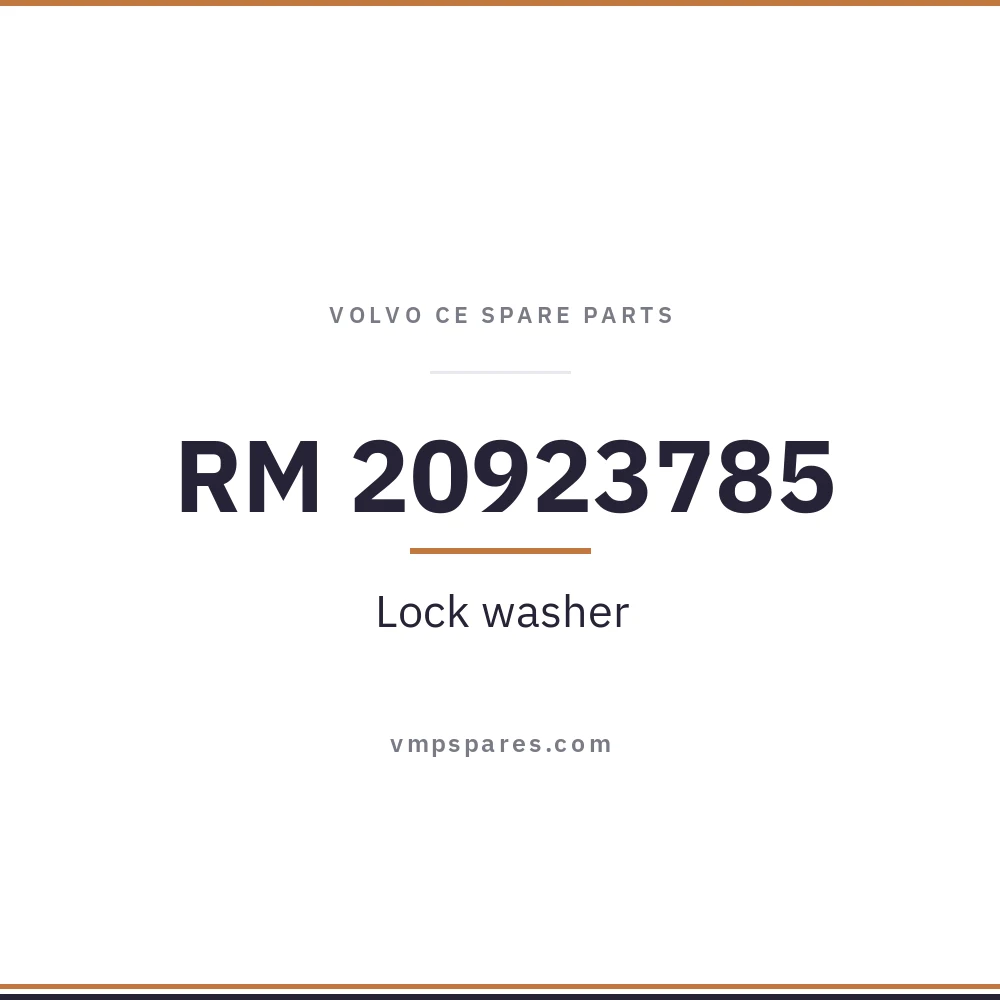 RM 20923785 – Lock washer