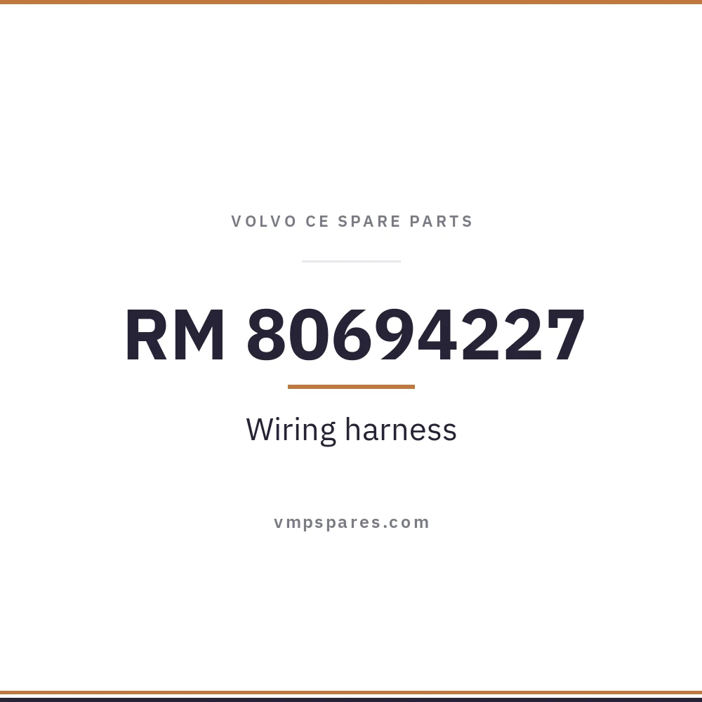 RM 80694227 – Wiring harness