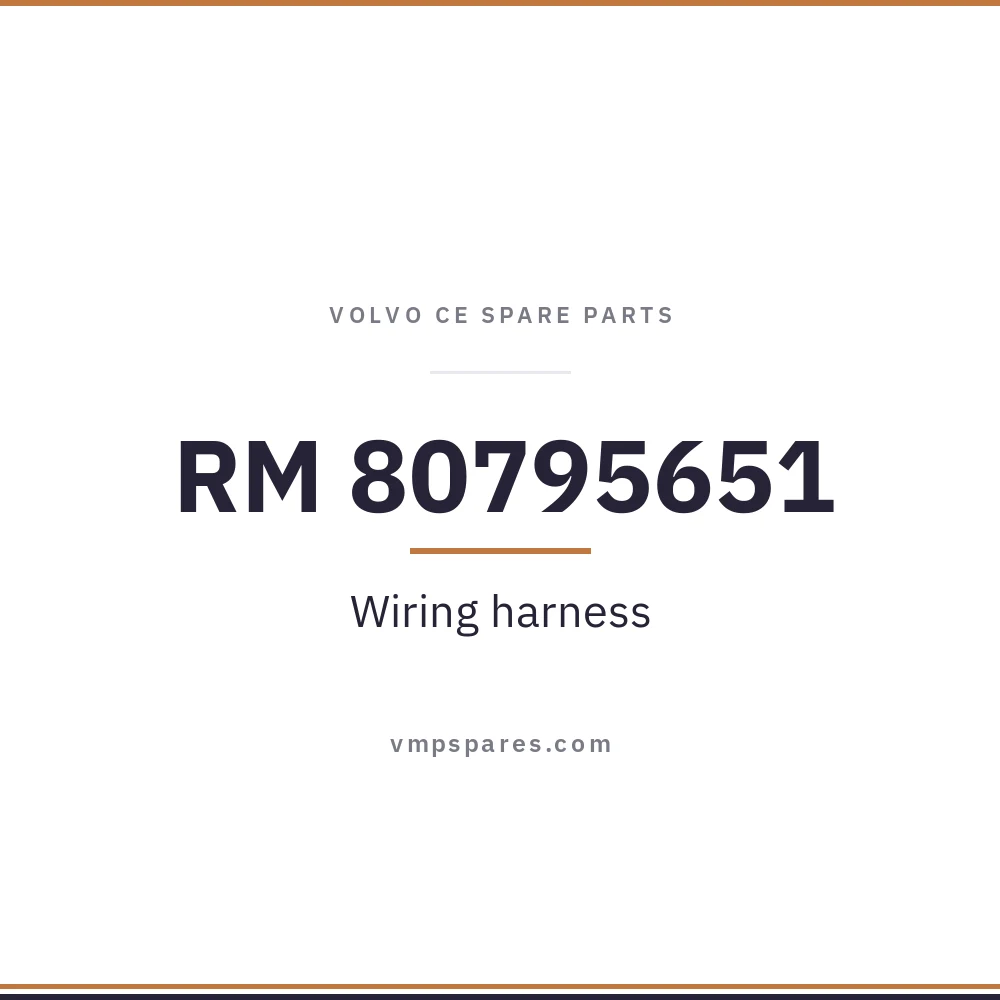 RM 80795651 – Wiring harness