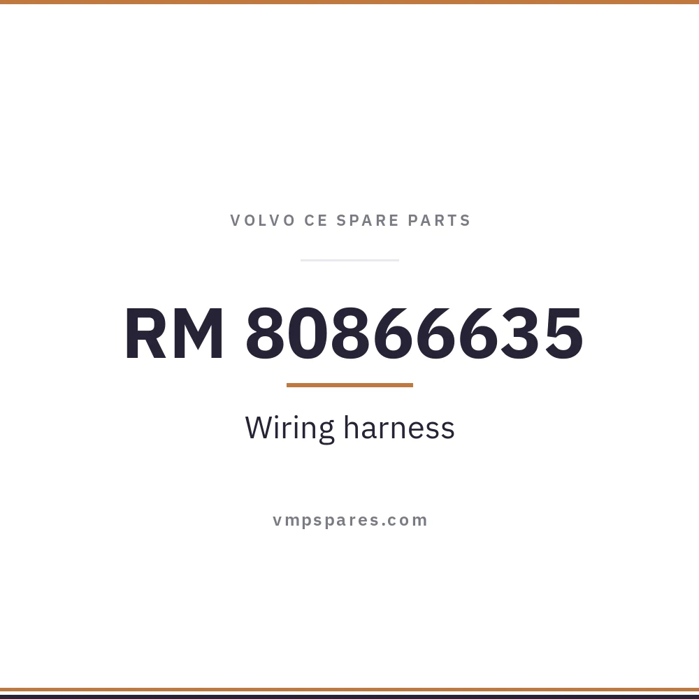 RM 80866635 – Wiring harness