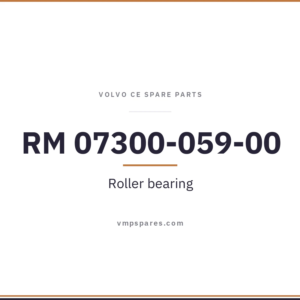 RM 07300-059-00 – Roller bearing