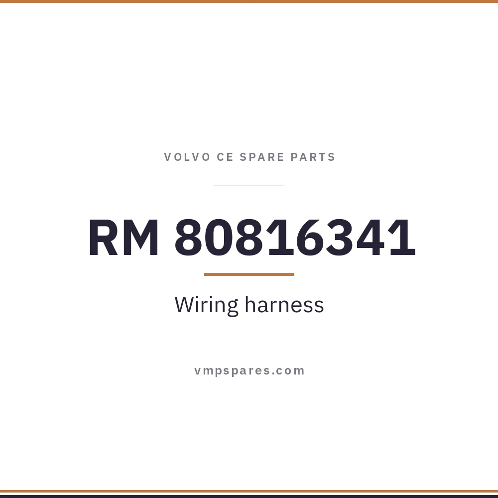 RM 80816341 – Wiring harness