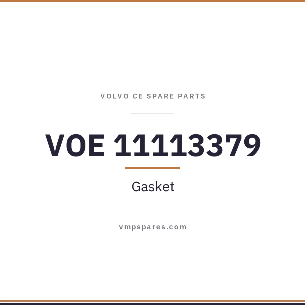 VOE 11113379 – Gasket