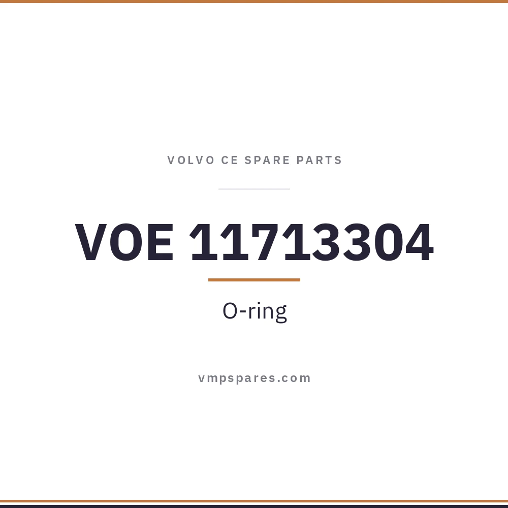 VOE 11713304 – O-ring