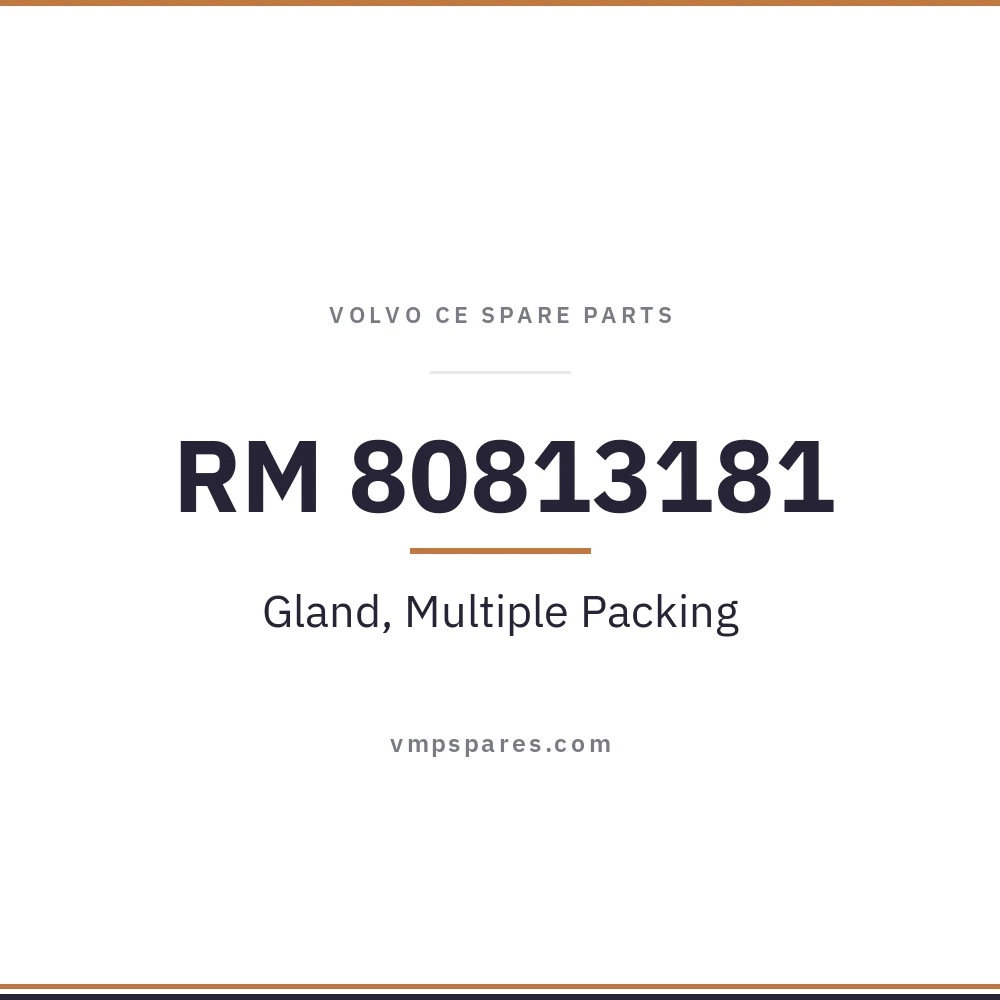RM 80813181 – Gland, Multiple Packing
