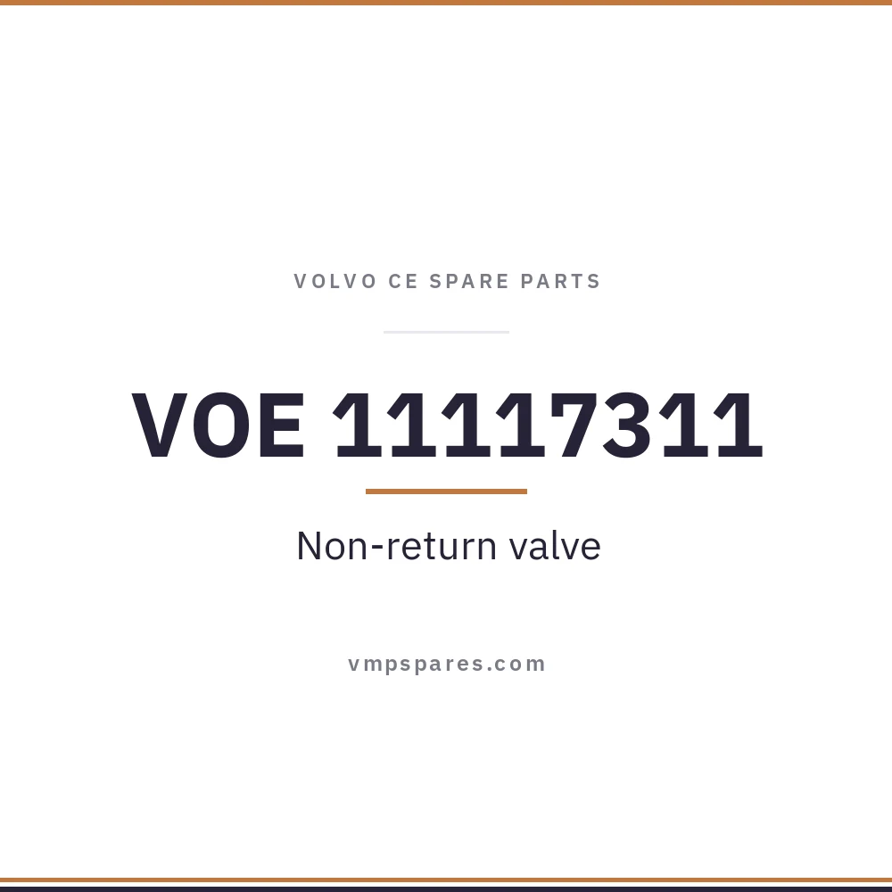 VOE 11117311 – Non-return valve