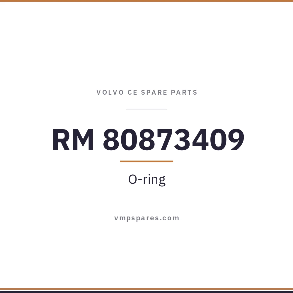 RM 80873409 – O-ring