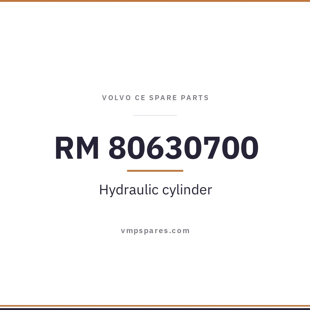 RM 80630700 – Hydraulic cylinder