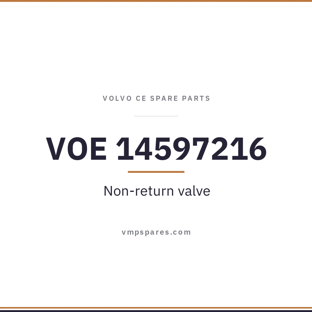 VOE 14597216 – Non-return valve