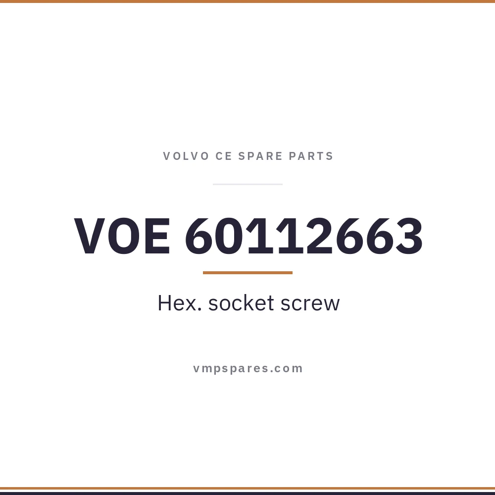 VOE 60112663 – Hex. socket screw