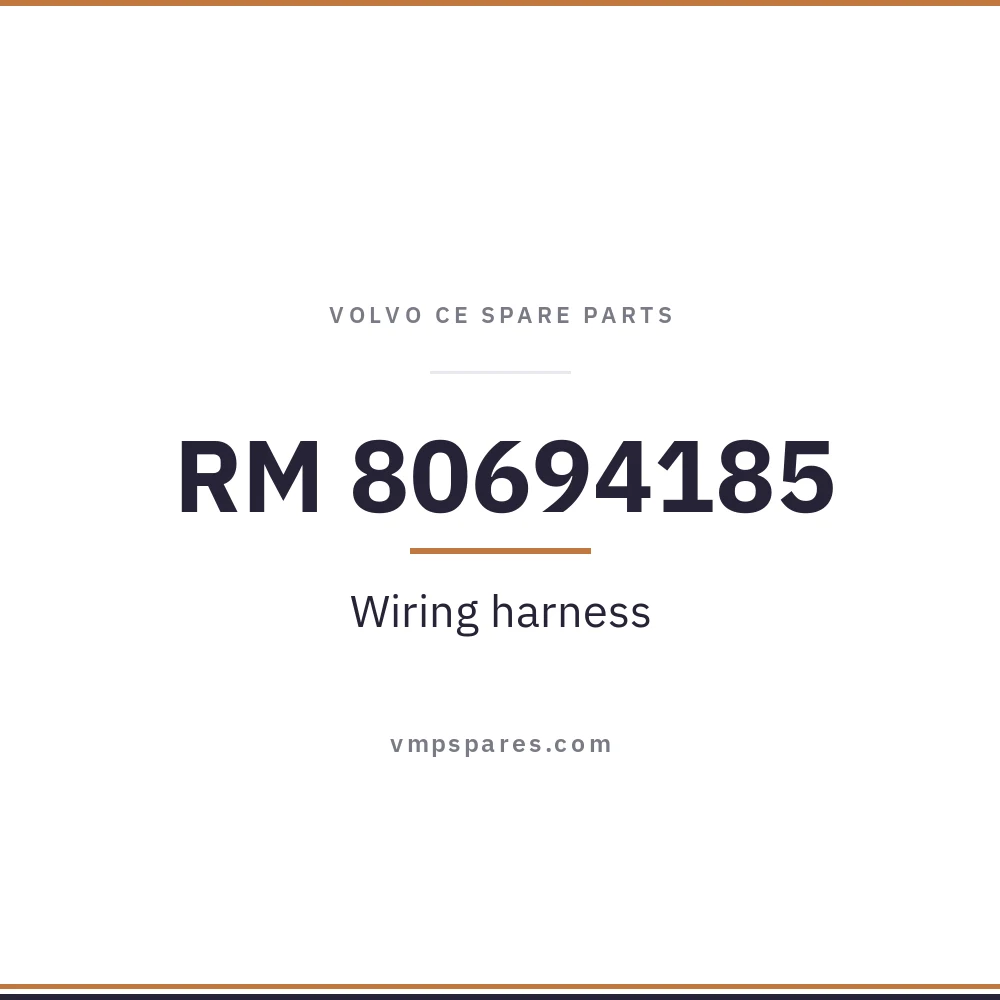 RM 80694185 – Wiring harness