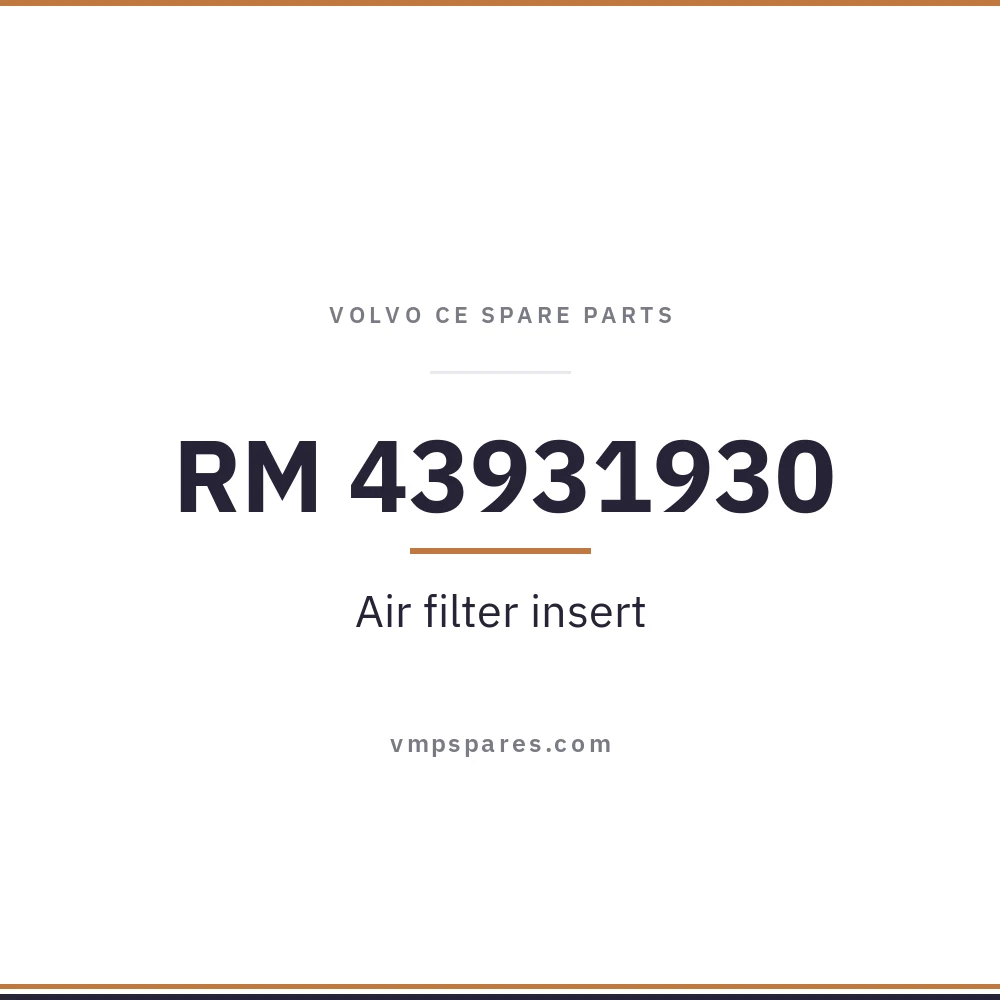 RM 43931930 – Air filter insert