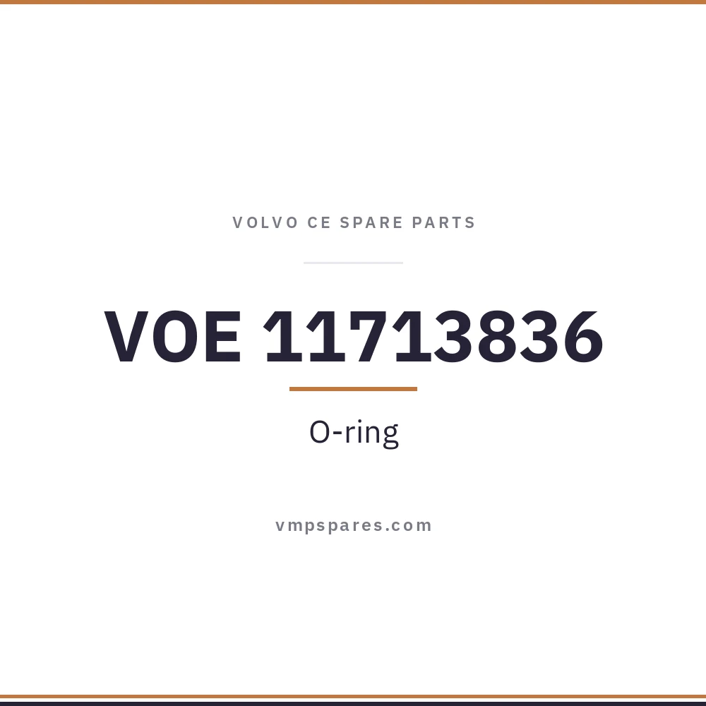 VOE 11713836 – O-ring