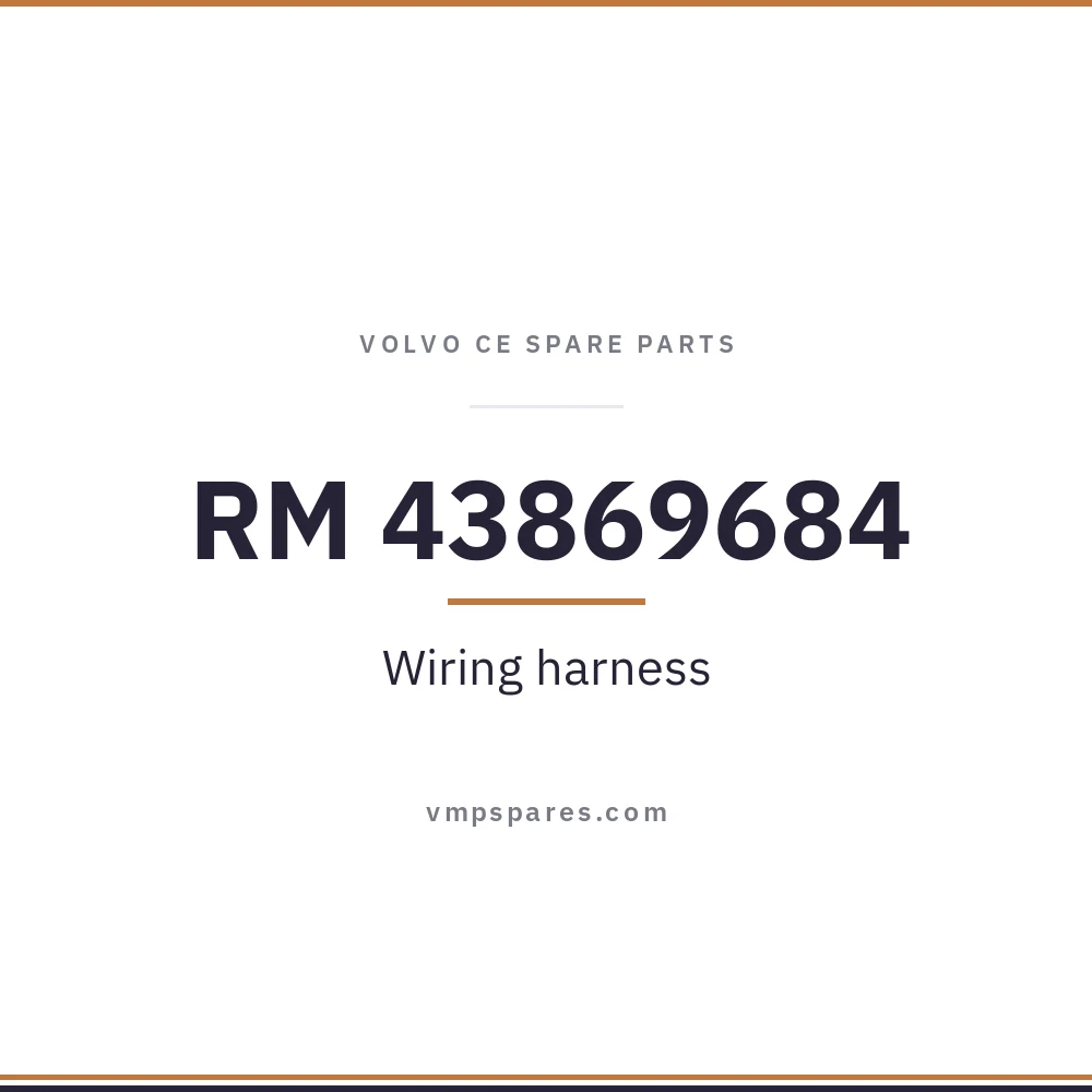 RM 43869684 – Wiring harness