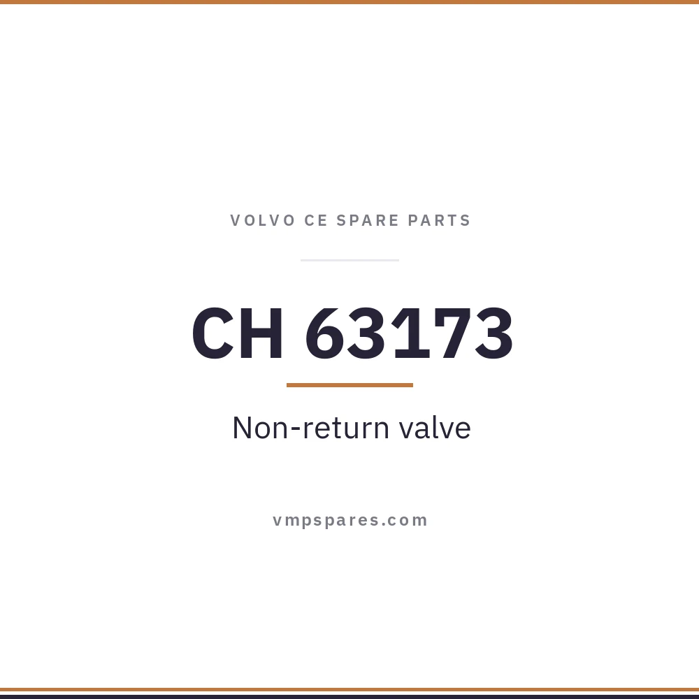 CH 63173 – Non-return valve