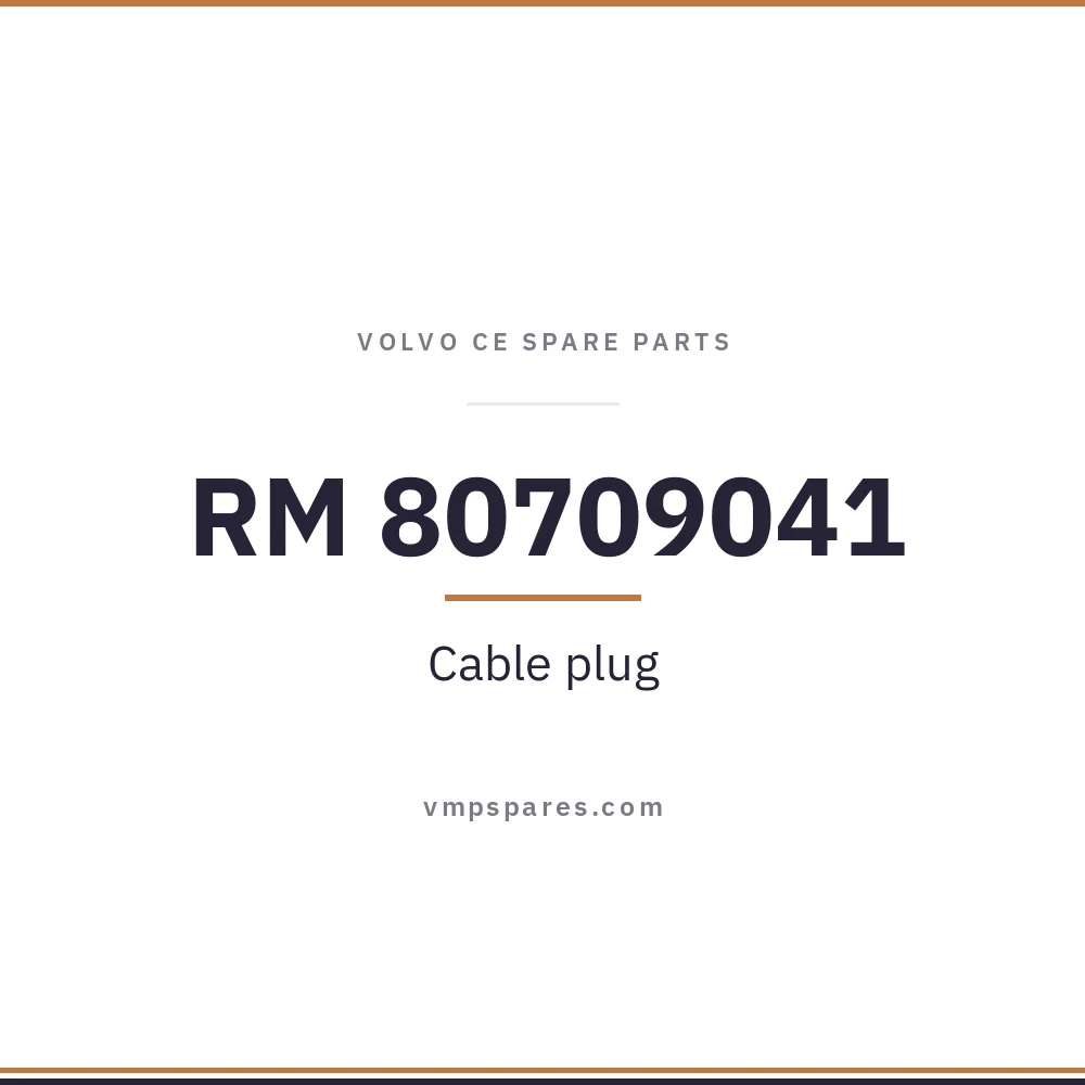 RM 80709041 – Cable plug