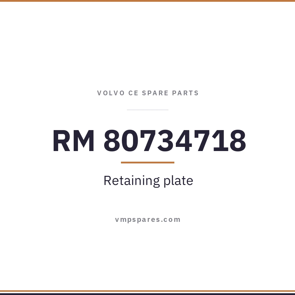 RM 80734718 – Retaining plate