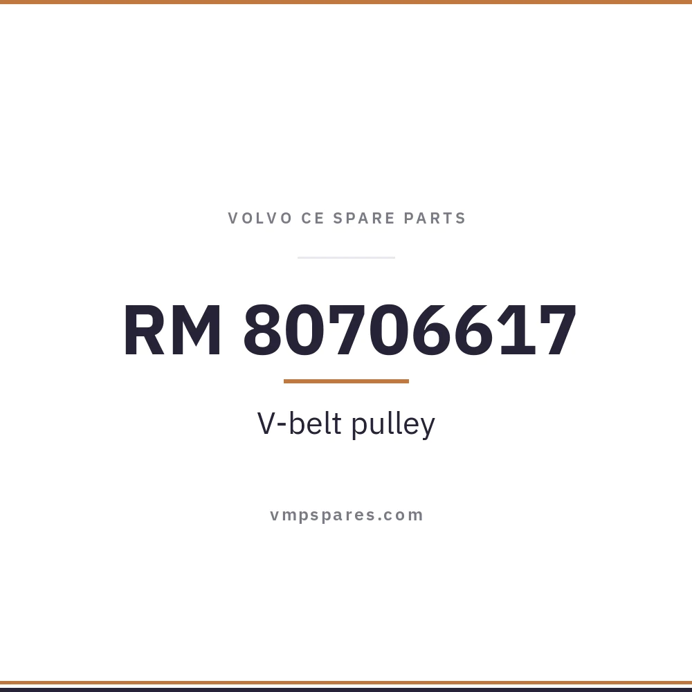 RM 80706617 – V-belt pulley