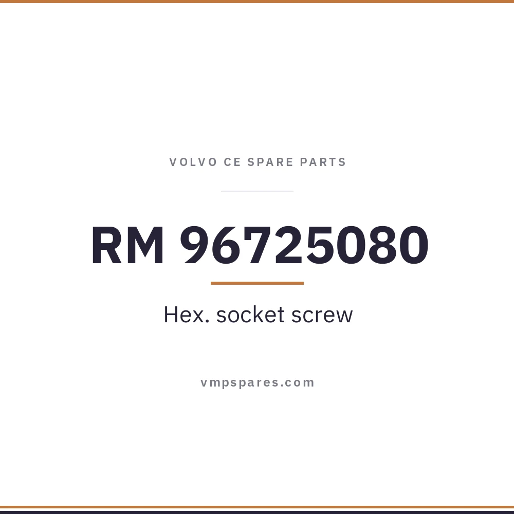 RM 96725080 – Hex. socket screw