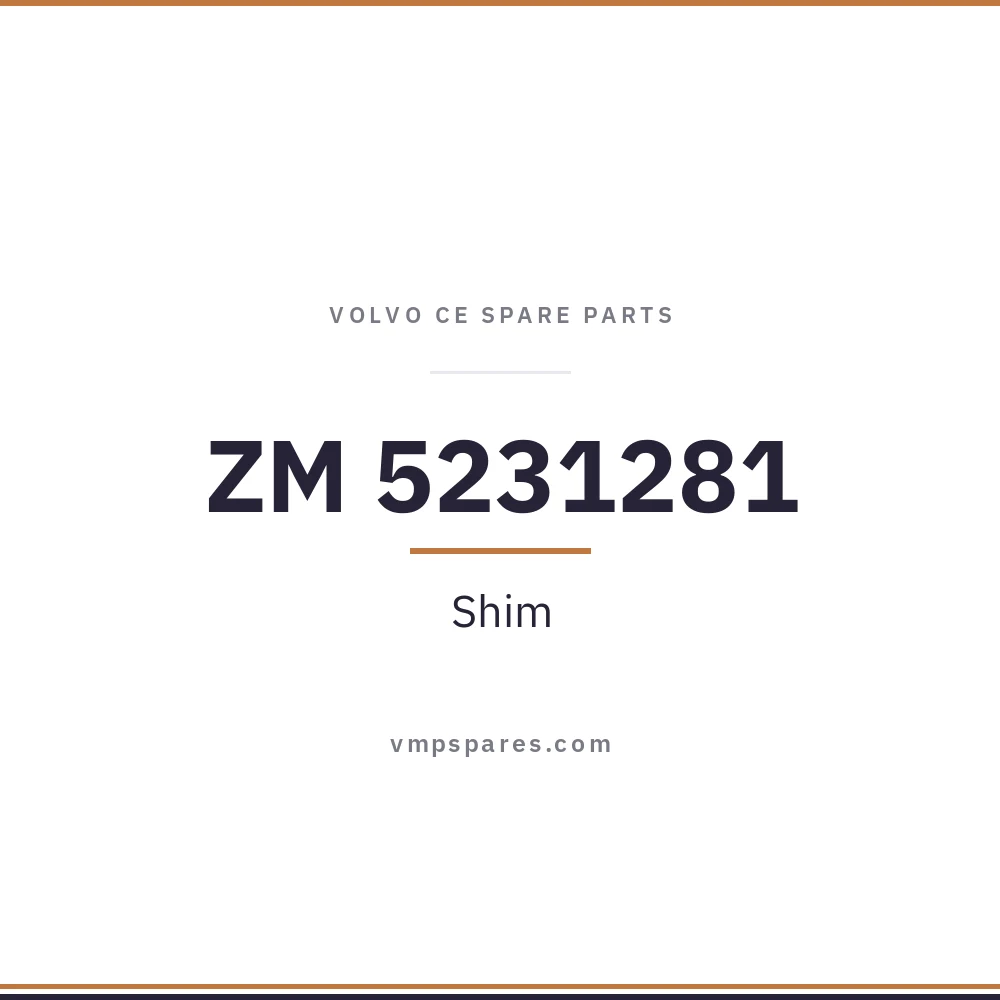 ZM 5231281 – Shim
