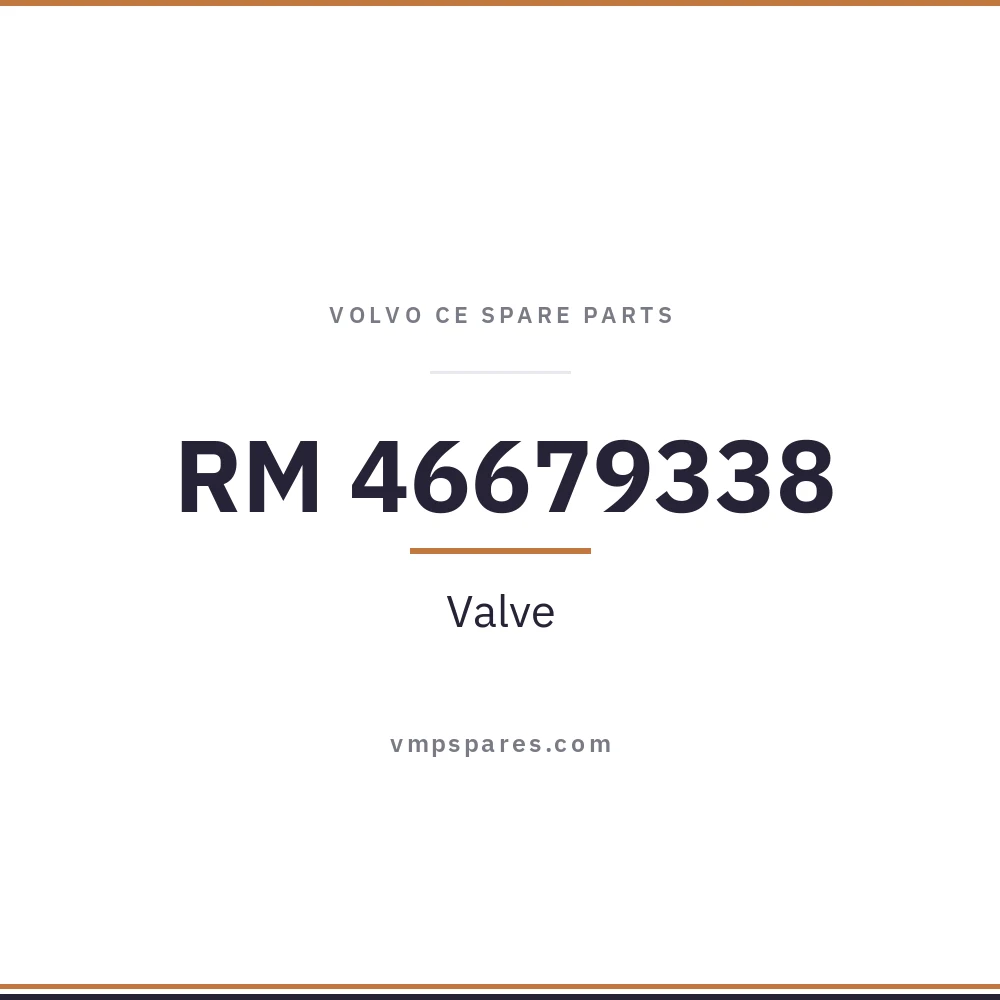 RM 46679338 – Valve
