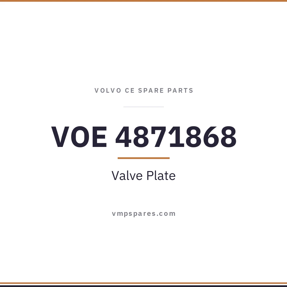 VOE 4871868 – Valve Plate