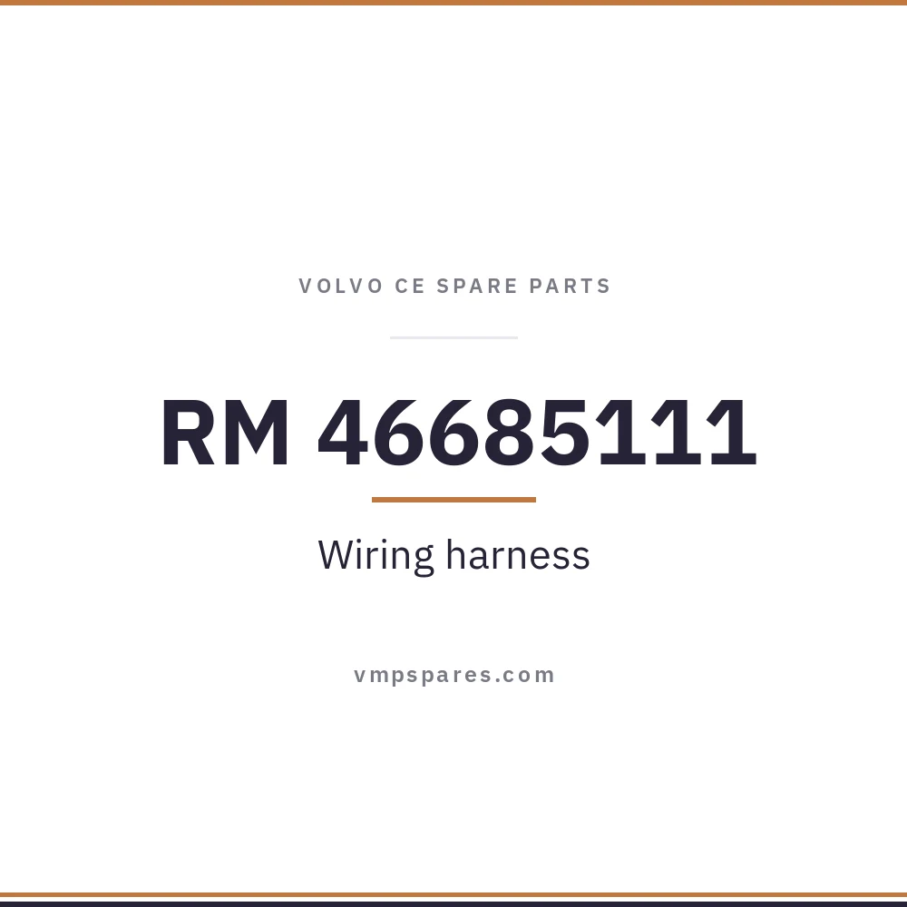 RM 46685111 – Wiring harness