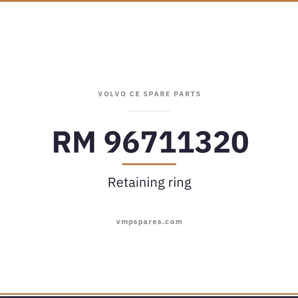 RM 96711320 – Retaining ring