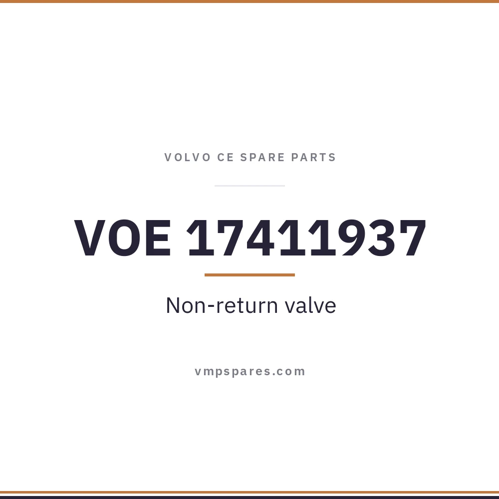 VOE 17411937 – Non-return valve