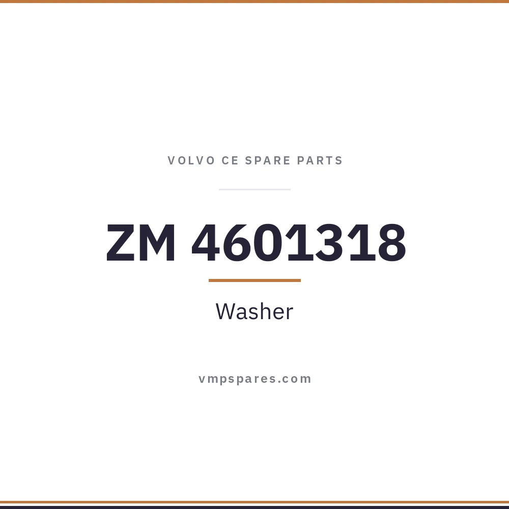 ZM 4601318 – Washer