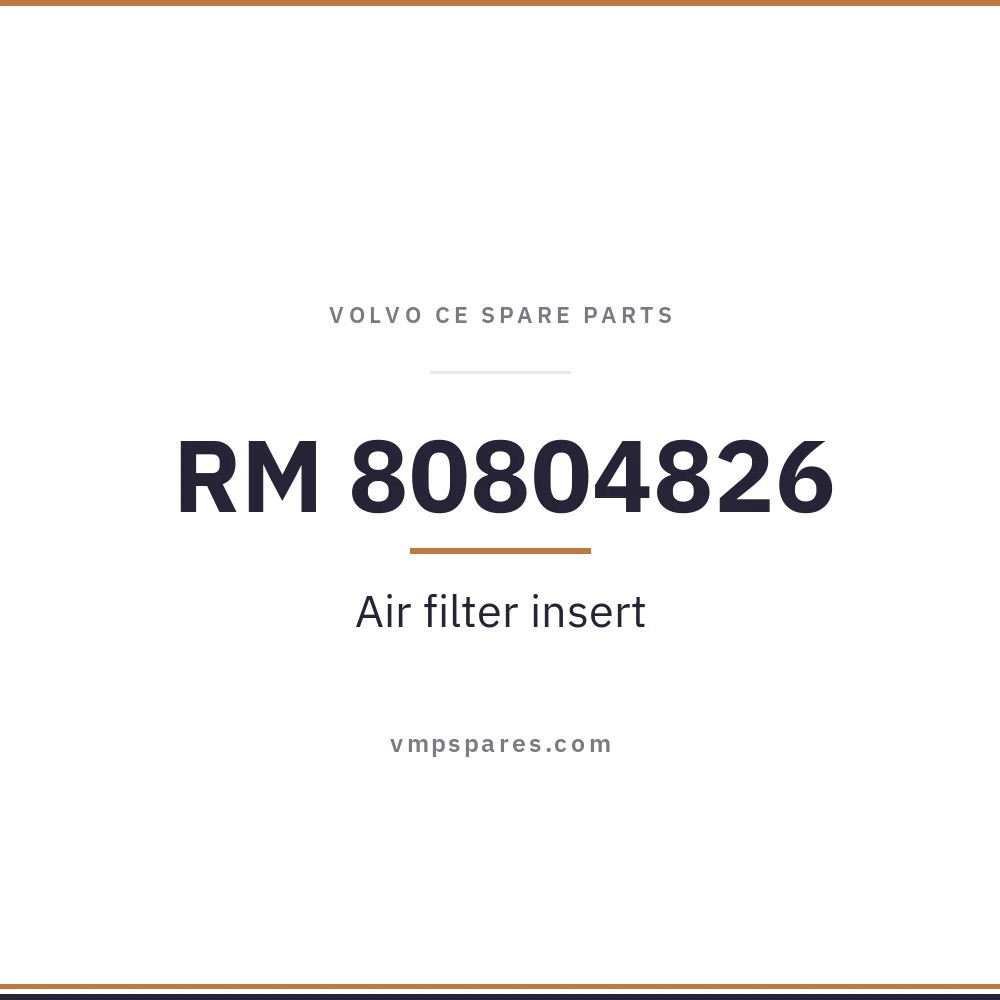 RM 80804826 – Air filter insert