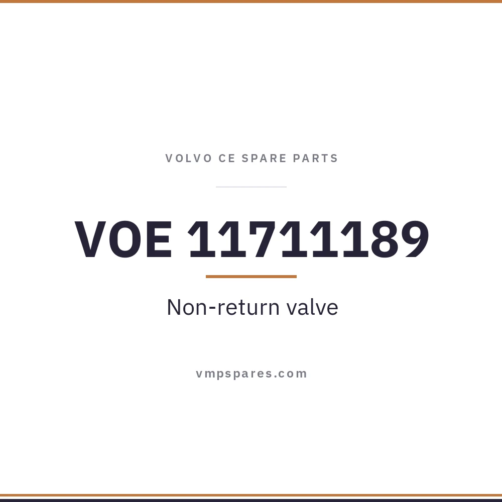 VOE 11711189 – Non-return valve