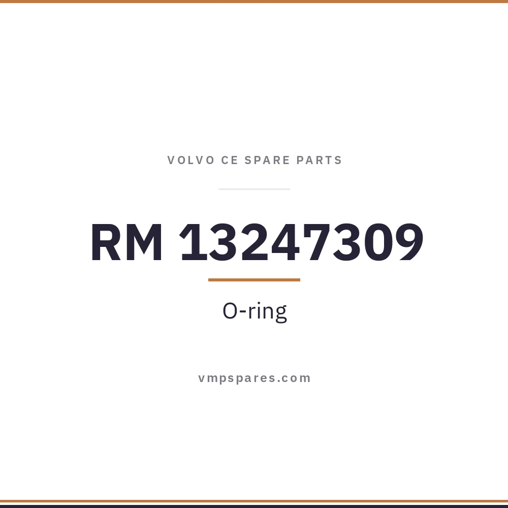 RM 13247309 – O-ring