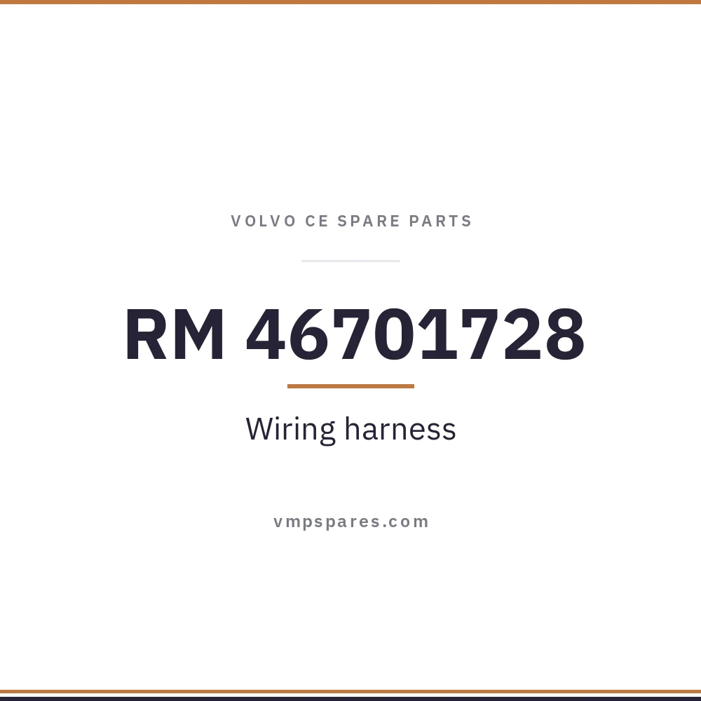 RM 46701728 – Wiring harness